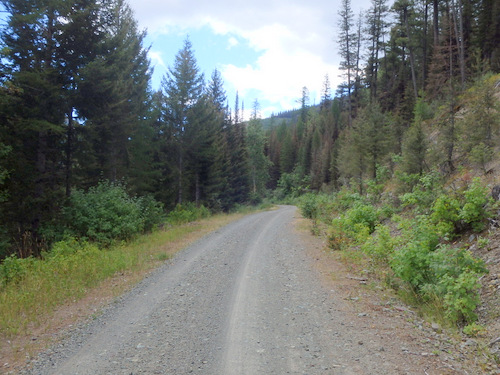 GDMBR: Climbing NF-4353 towards Richmond Peak, MT.